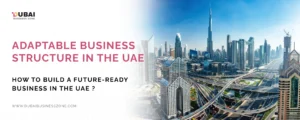 Adaptable Business Structure in the UAE
